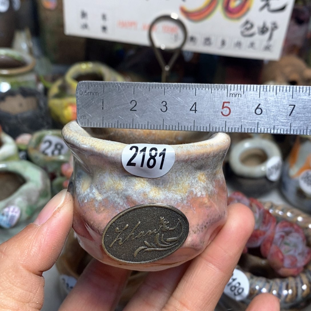 特价花盆拍5送一个小礼物