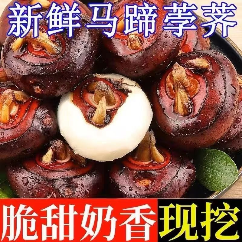 【特惠~】马蹄 新鲜 脆甜 5斤左右 核实好地址下单哦