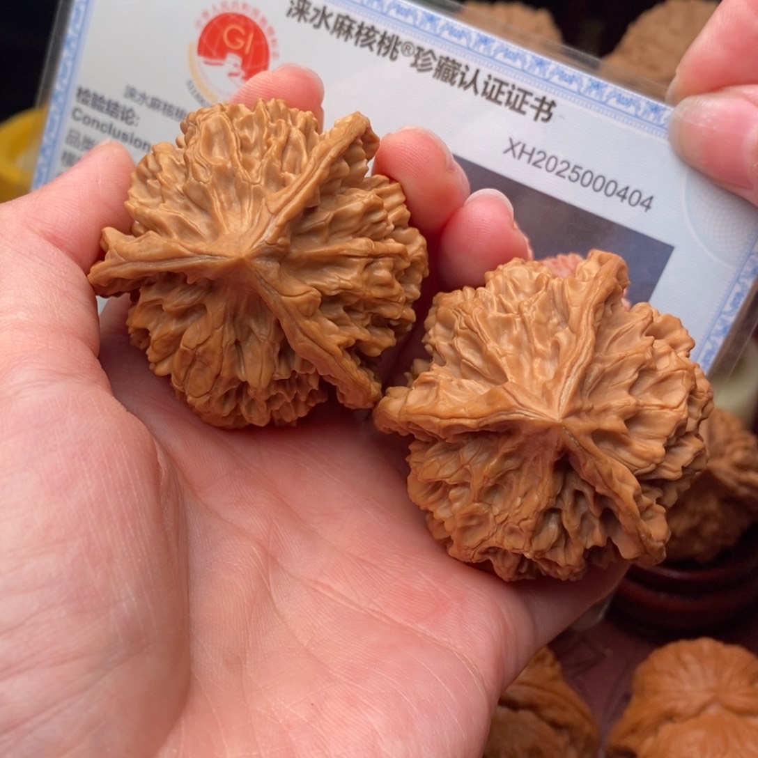 文玩核桃把件龙纹奔49