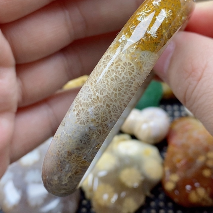 硅化珊瑚（珊瑚玉）颈饰未镶嵌60