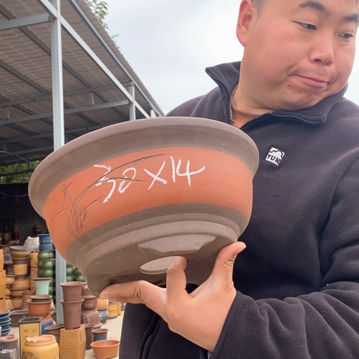 紫砂花盆盆栽花卉苗木种植