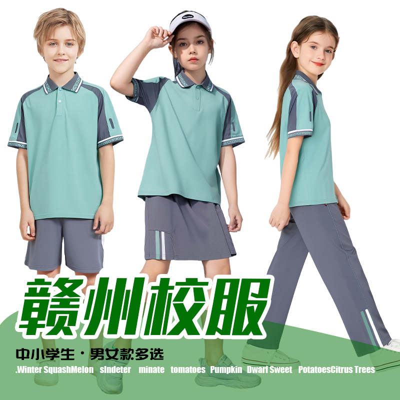 校服中小学生运动服江西赣州统一教育局指定校服套装夏装短裤短裙