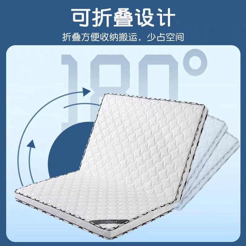 床垫子10cm硬垫经济型床垫偏硬3E椰棕棕垫