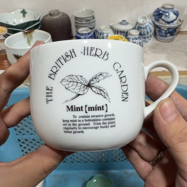 陶瓷推荐第二名20包邮