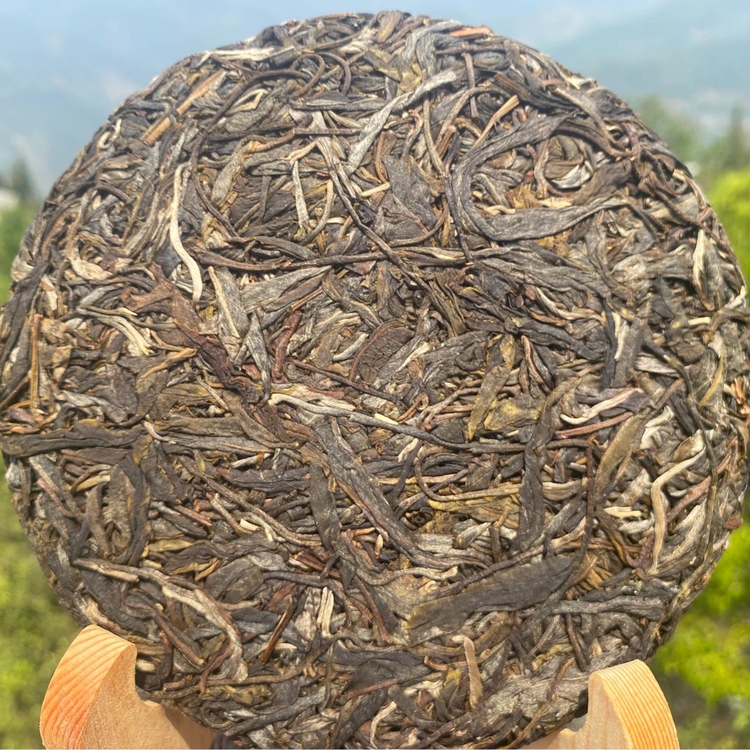 【稀】2023年冷水河古树 头春 普洱茶 生茶 饼茶 200g