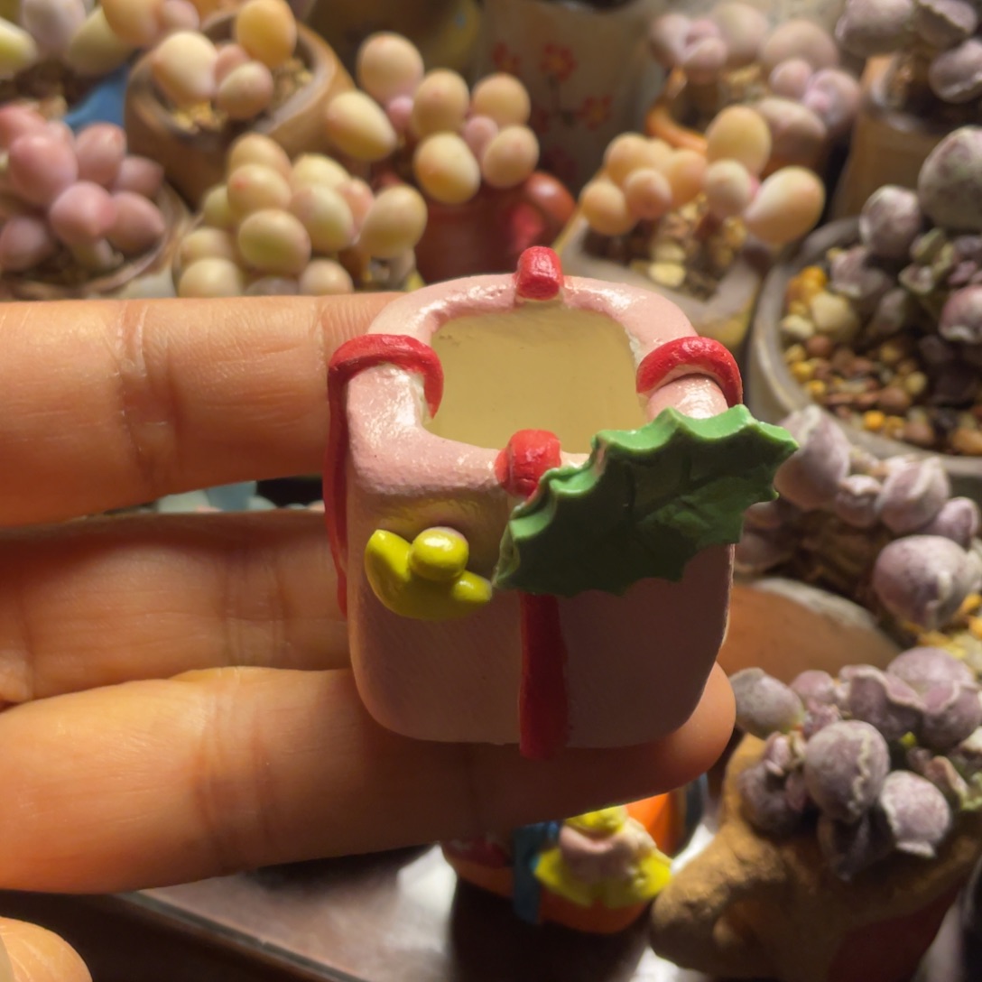 拇指盆满50包邮非偏远
