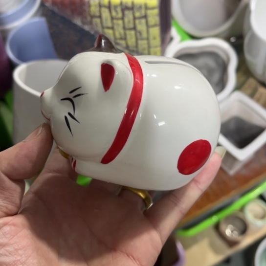 ［所有订单凑满15明天发］