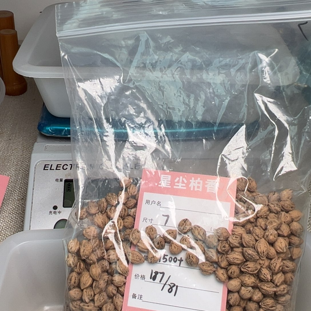 柏香籽/百香籽吊坠