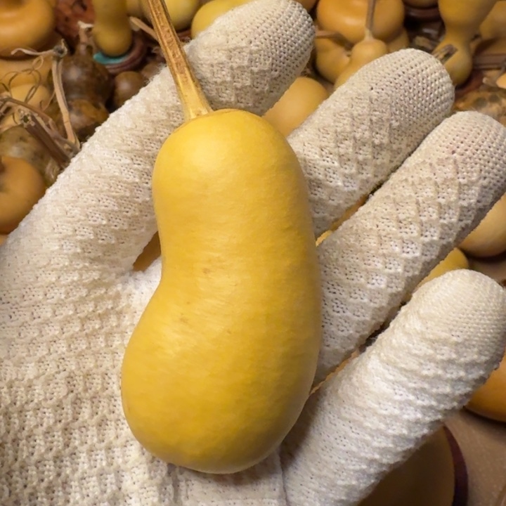 海***天葫芦888888888888