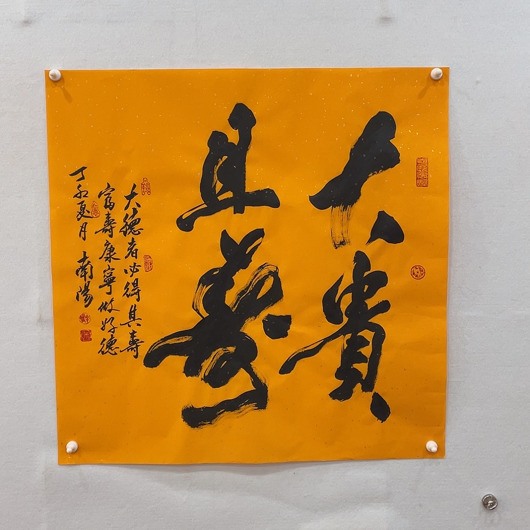 横款博航艺术书法作品集