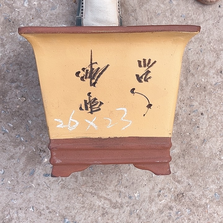 红陶紫砂艺术学院