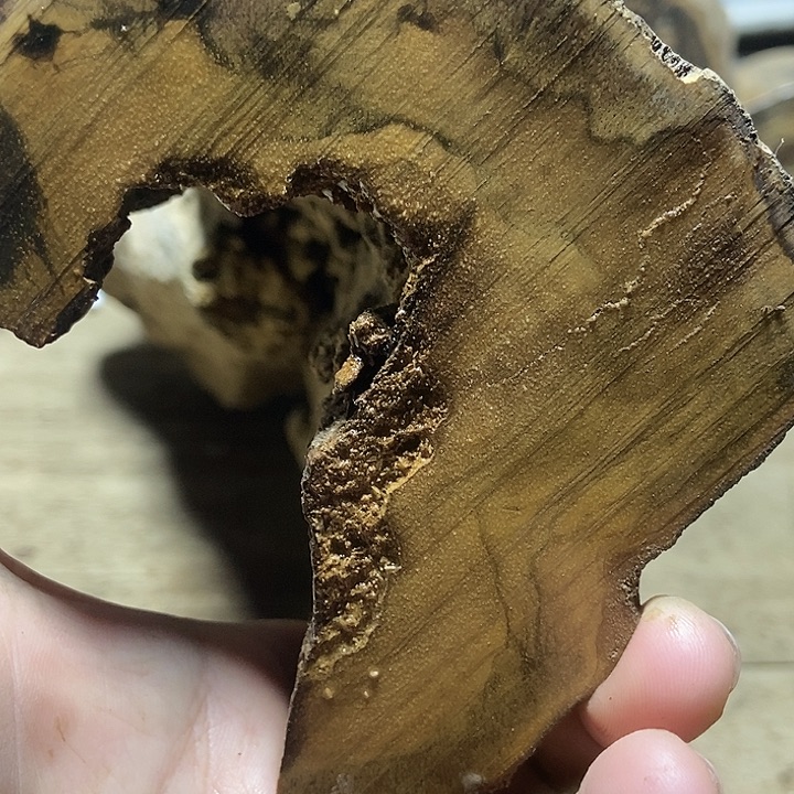 手串贡木定制产品不退不换