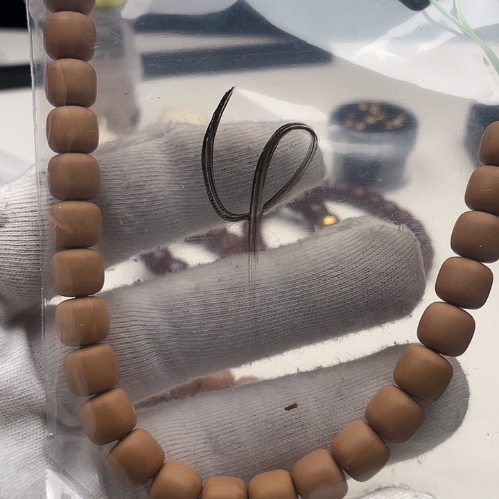 猴头核桃吊坠福利4