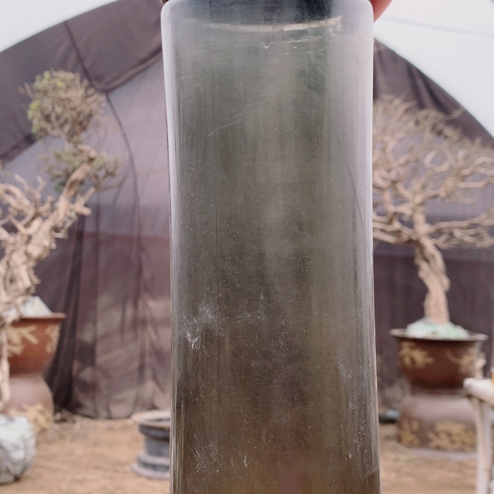 程***根全部花朵金银花88888