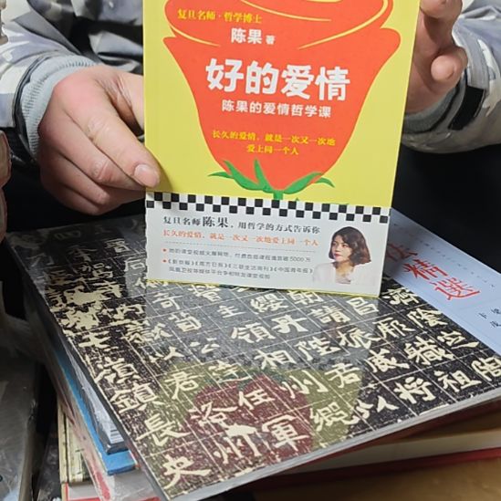 陈果好的爱情平装库存书