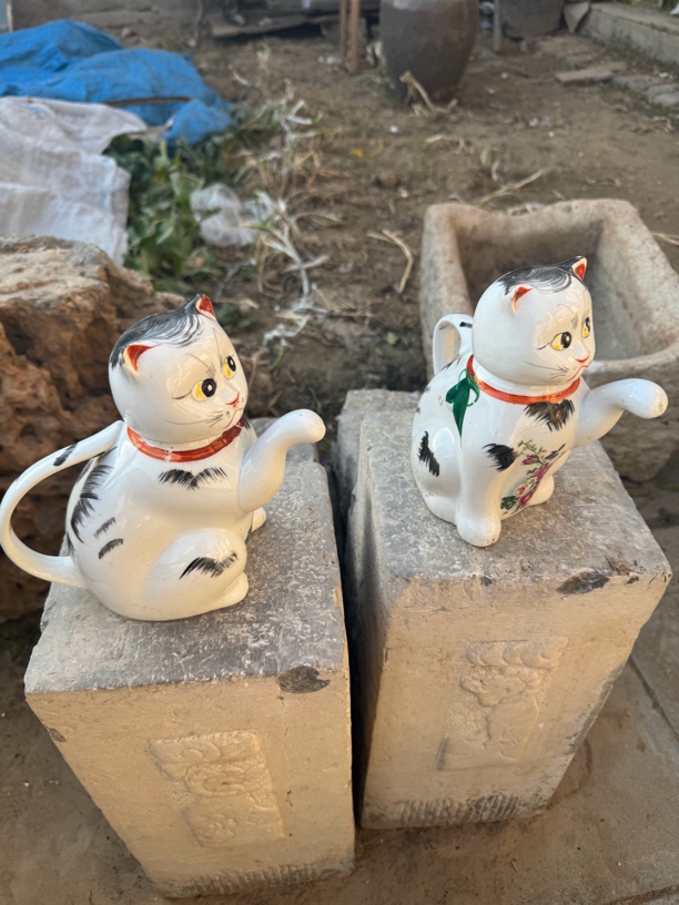 瓷小猫，，，，，，，，，，，，，，，，