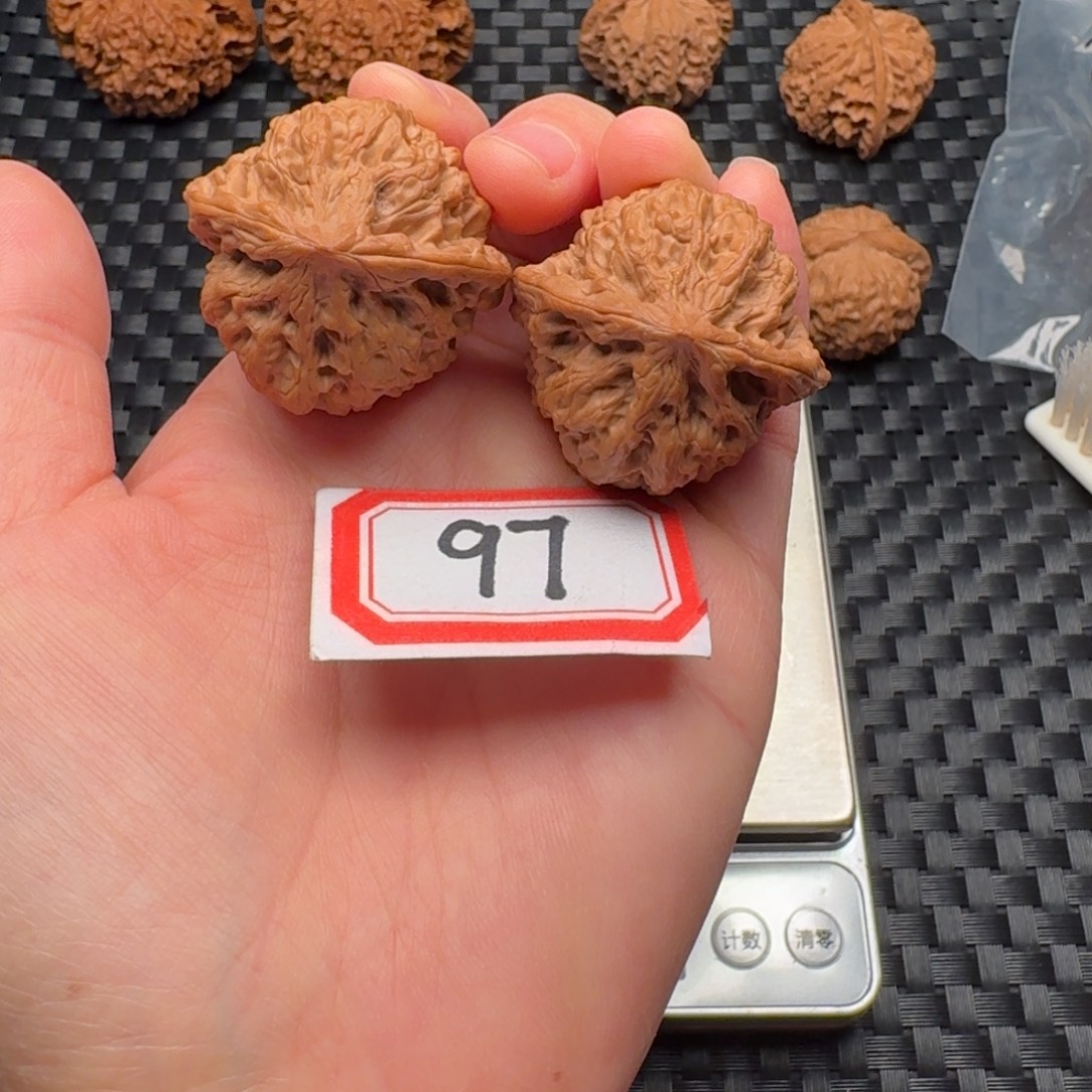 核桃全品38尺野牛