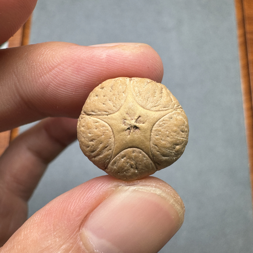 精品18+五星上将菩提凤眼菩提三通佛头，非质量问题开孔不退cj2500
