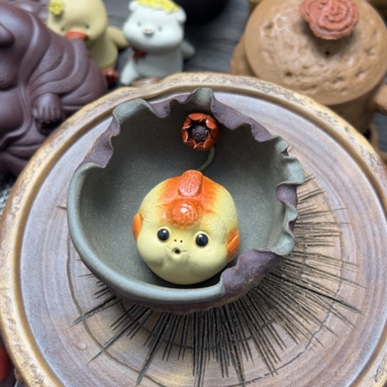 鱼噜啦啦啦啦啦啦