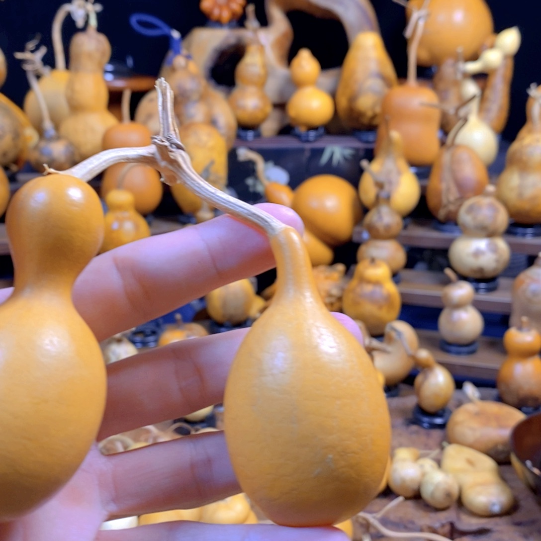 芜***育精品精品葫芦精品葫芦