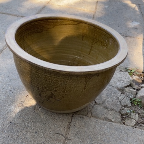 种草种菜种菜养菜种地