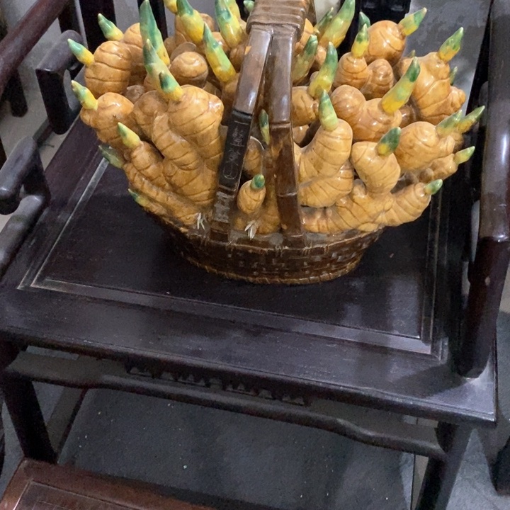 我是一只小小鸟地域鬼的人生观价值观世界观理*