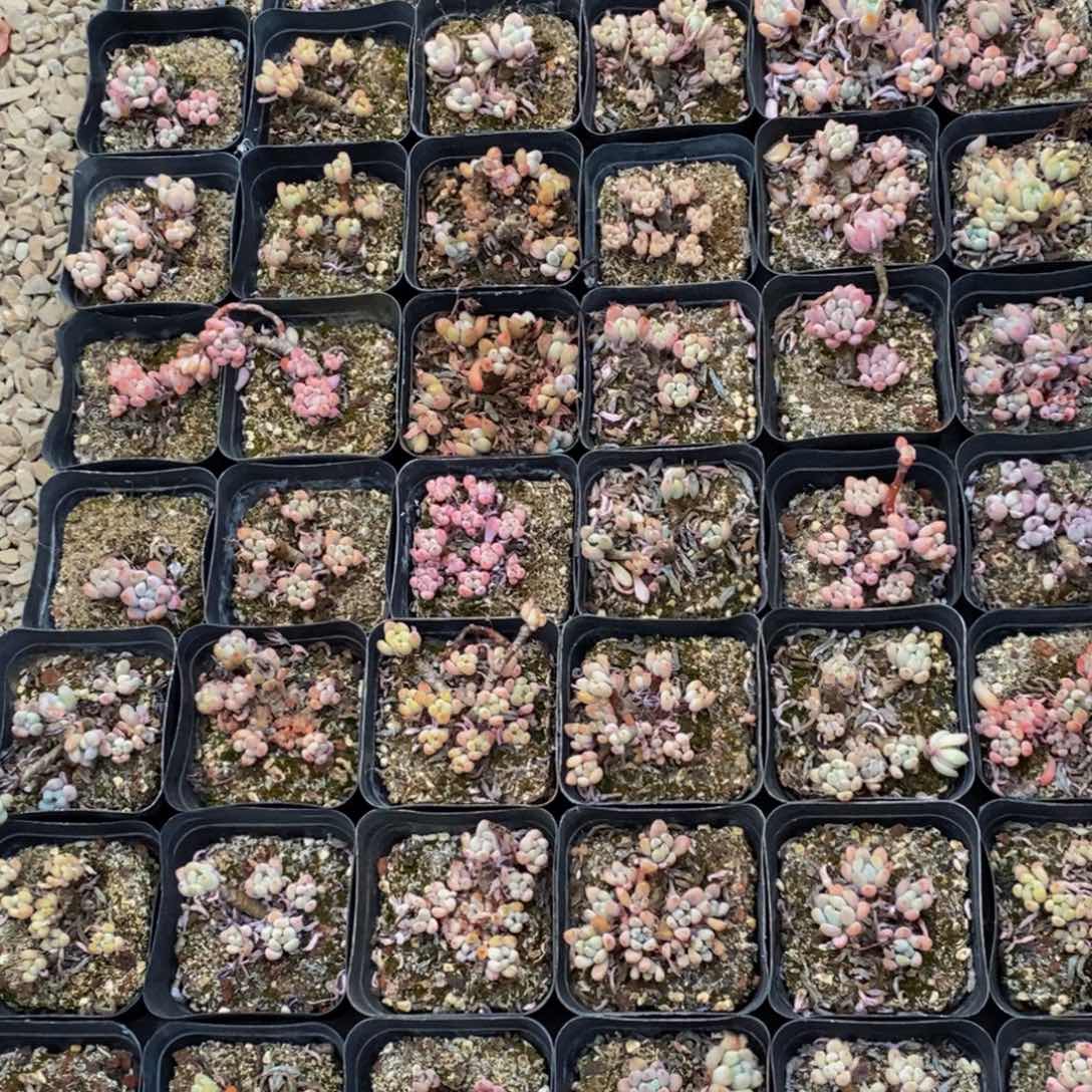 404点多才能到家了，我们