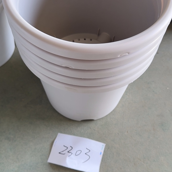 编号编号编号2303