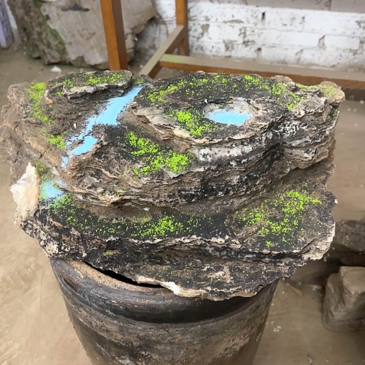 【闪购商品】香榧木夜*行这么晚的日子真的不好过