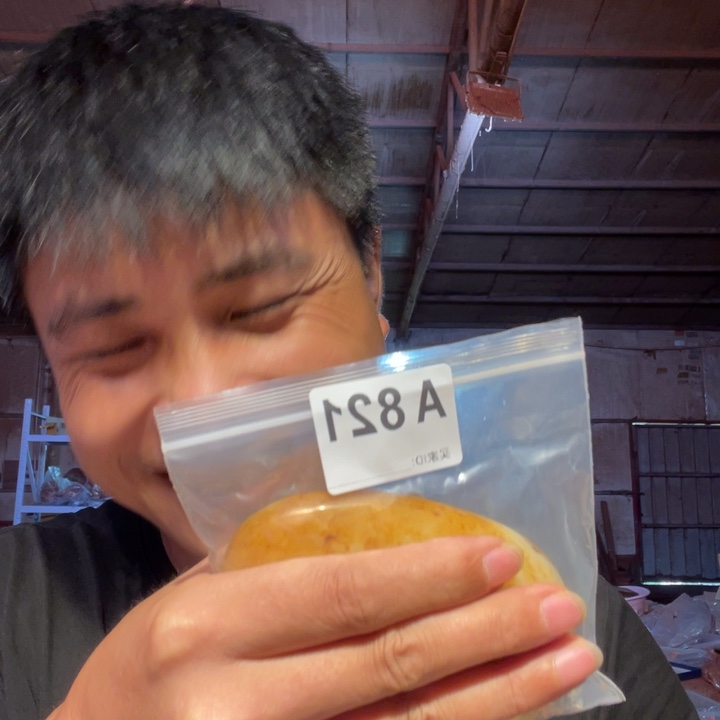 大叶紫檀（黑酸枝木类）绿**山821