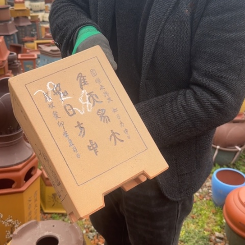 紫砂花盆紫砂花盆盆景盆栽