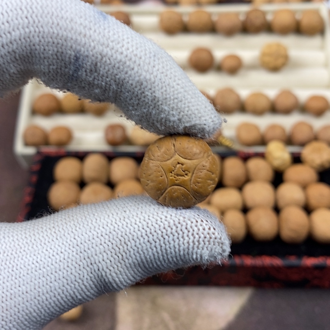 吊坠凤眼菩提17.9五星单颗