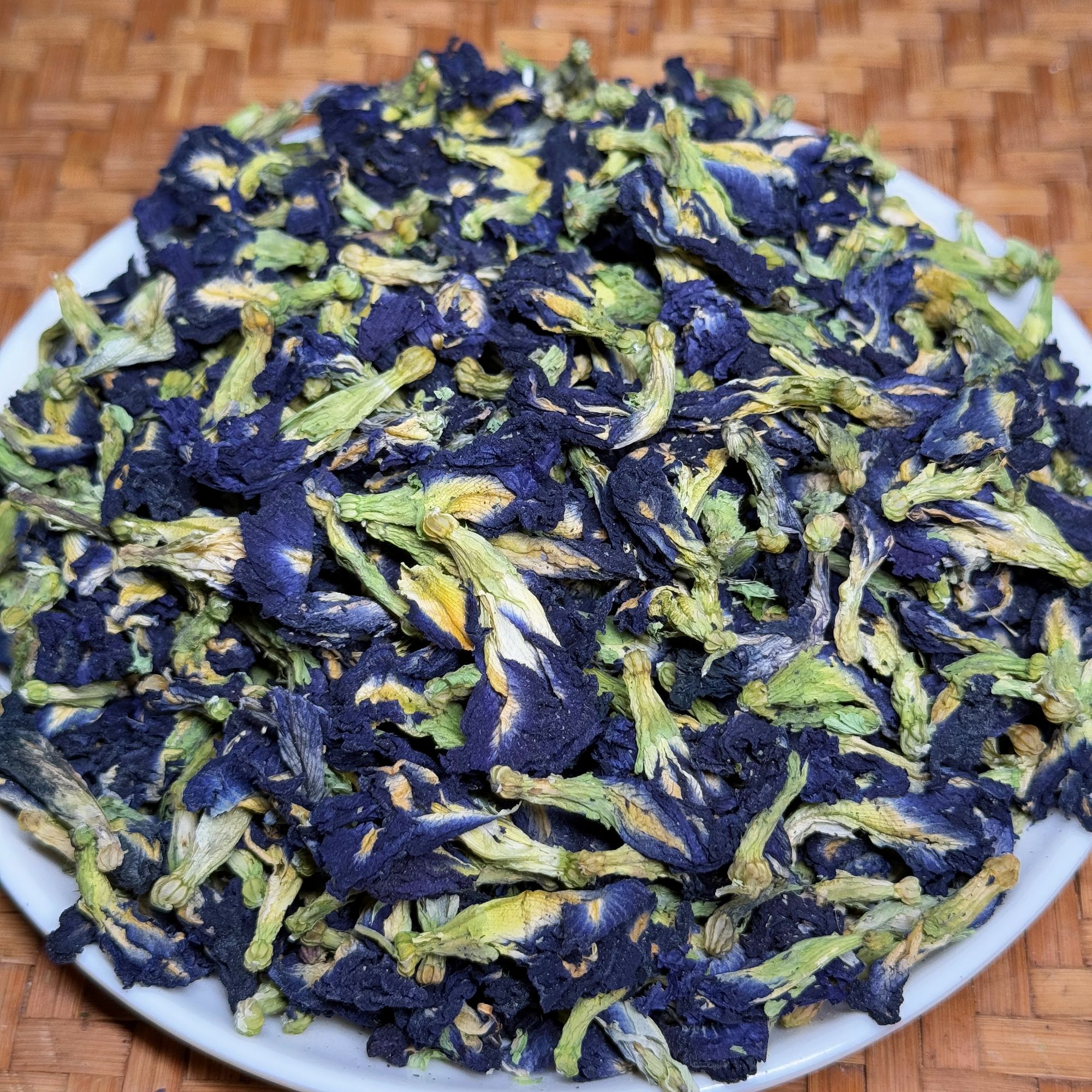 云南西双版纳  南古蝶 冬青收茶