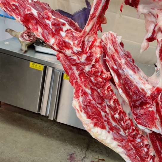 【闪购商品】冷冻保存30天包装河北省^*^