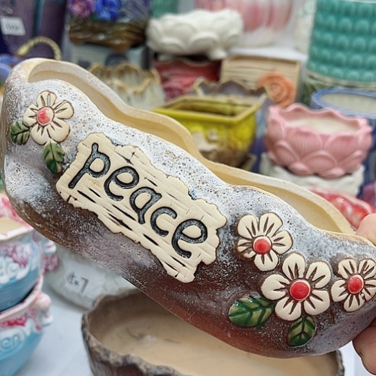 多肉绿植 陶瓷花盆