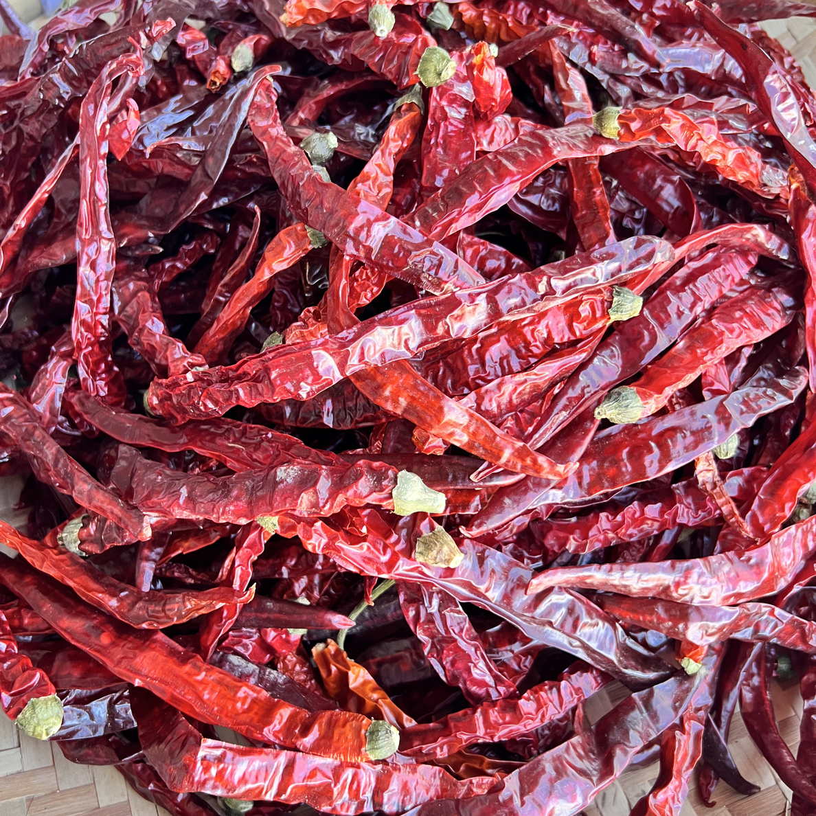 贵州遵义二荆条干辣椒特香微辣红辣椒农家火锅炒菜干辣子