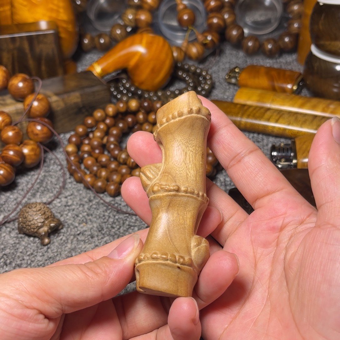 金丝楠竹节小叶桢楠