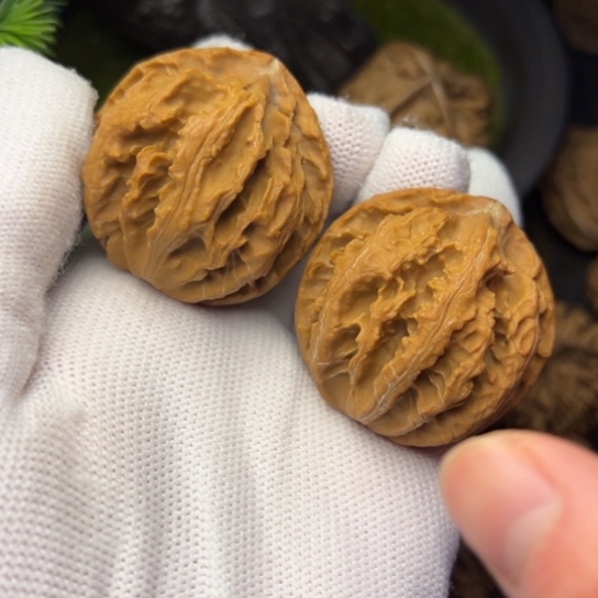 把件文玩核桃秦岭核桃2