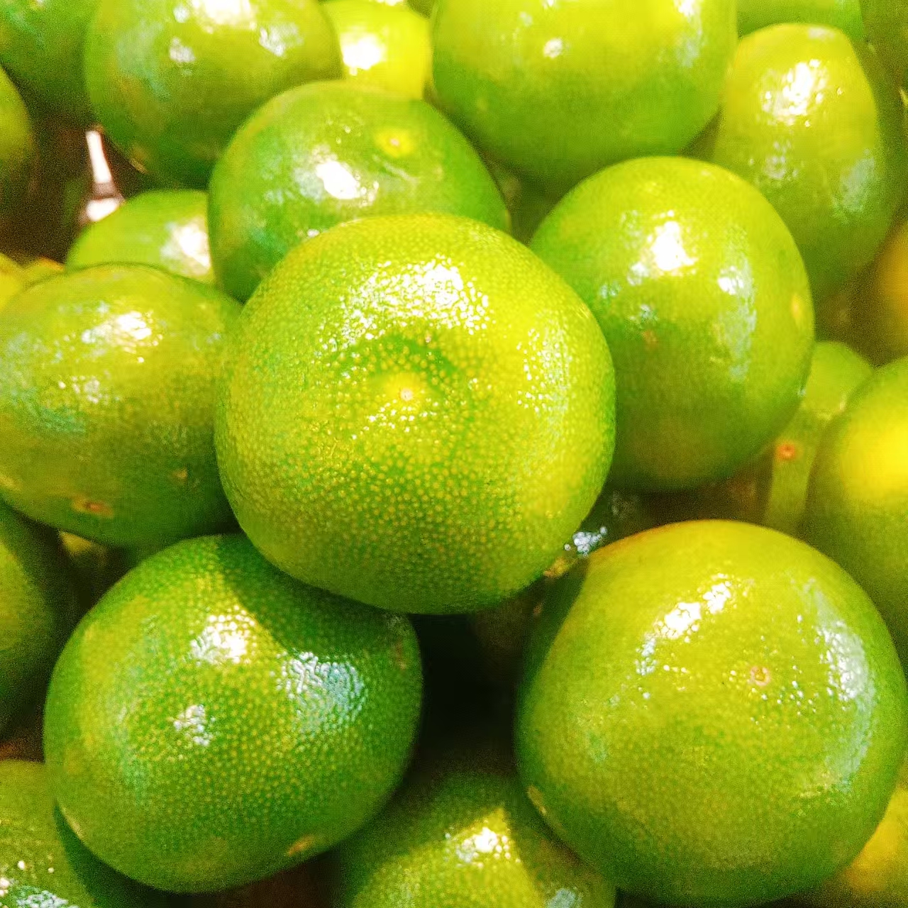 蜜广橘子 1kg/份