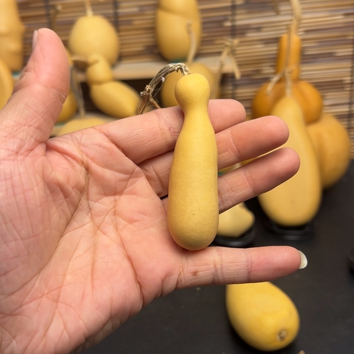 ?*?56556666666666