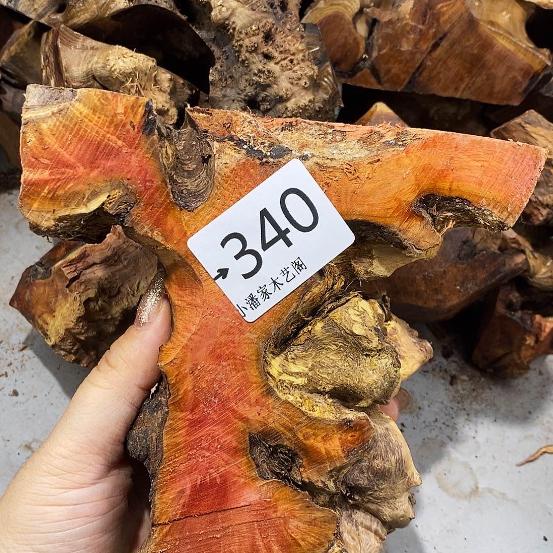 香榧木屹*火琉璃……火琉璃