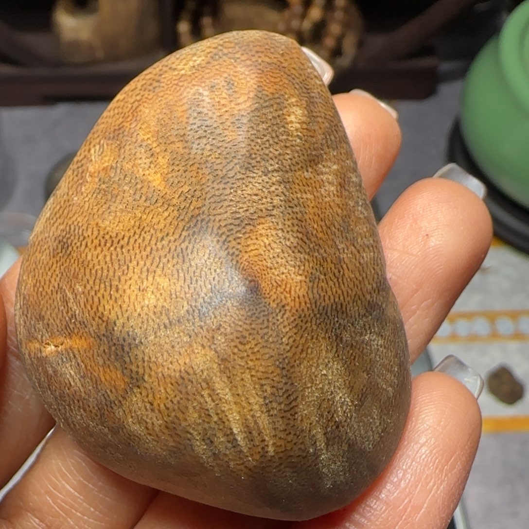 树脂制品@*智白旗老包头