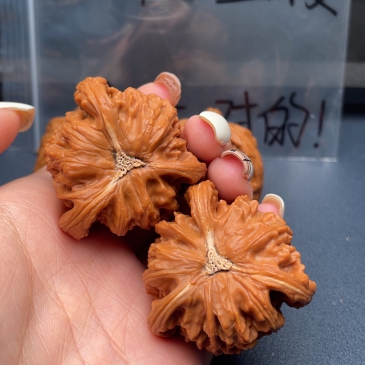 @***始文玩核桃吊坠白狮子