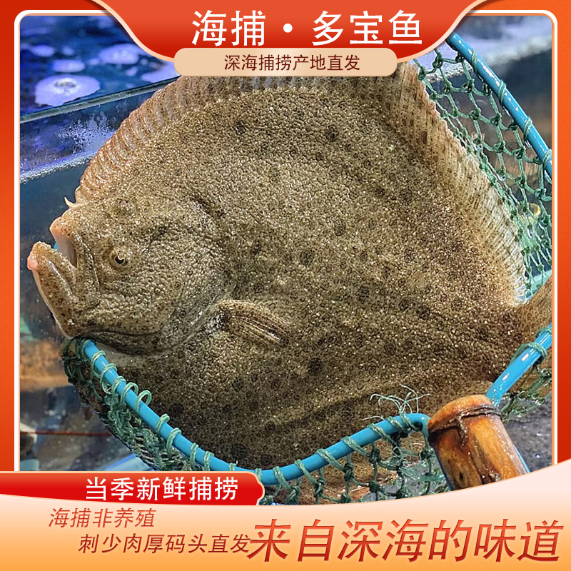 【顺丰京东】新鲜捕捞活鱼速冻多宝鱼扁平鱼蒜瓣肉肉质鲜嫩400g/条