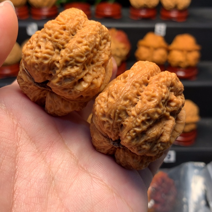 文玩核桃把件43霸王蟾