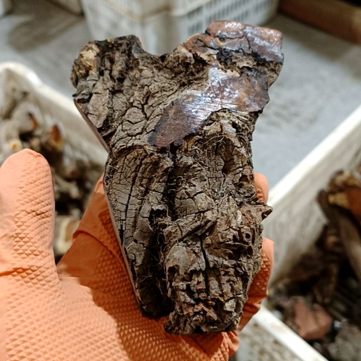 文***@香榧木火琉璃疙瘩毛料毛料毛料