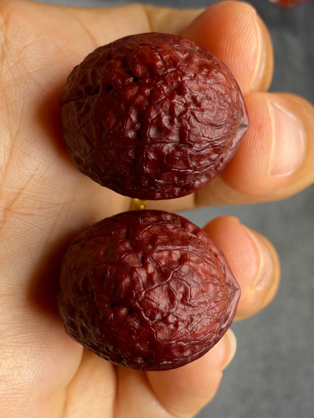 云南铁核桃 文玩核桃 28尺 天然红彩 鸽子蛋 发货图片同款精品一