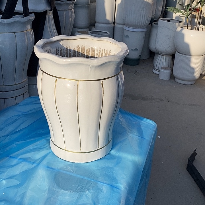 白南瓜中口25高32福利