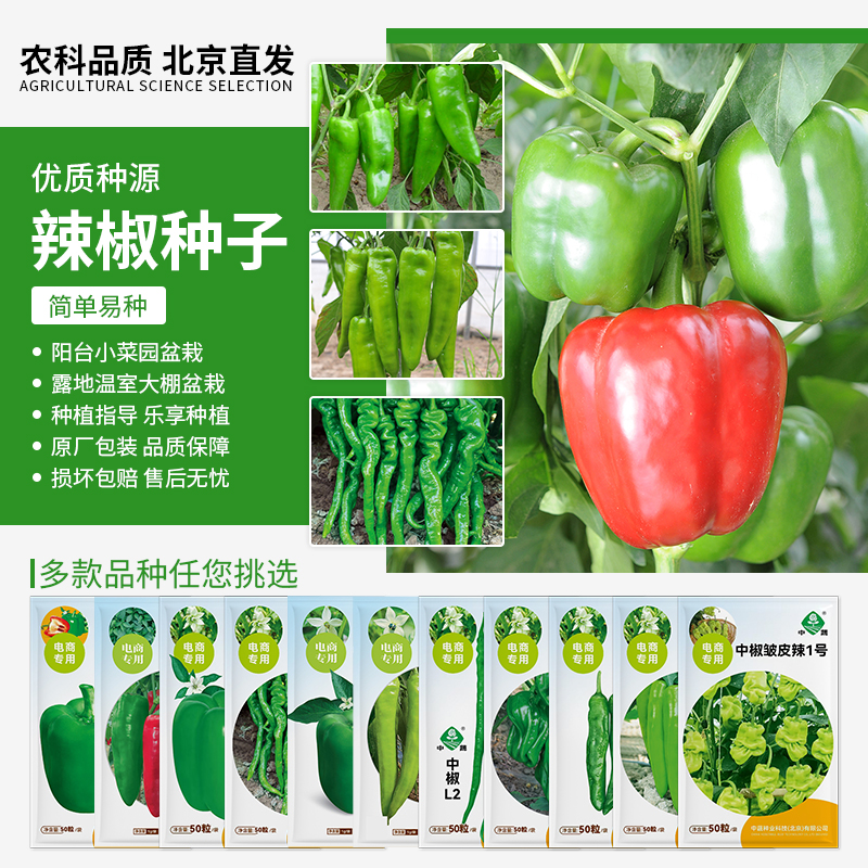 【农科院中蔬】各种辣椒种子牛角椒种子羊角椒种子易种蔬菜微辣阳台