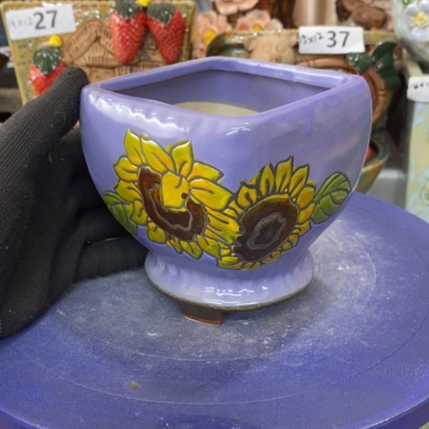 【闪购商品】红陶1